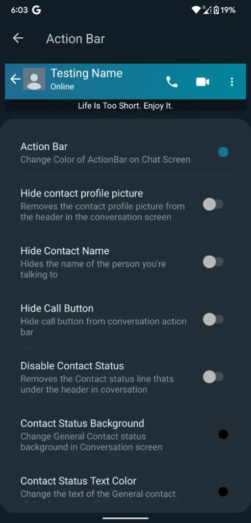 WhatsApp Plus S19